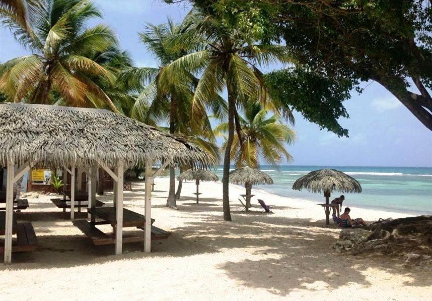 Le Ti'Paradise Belle-Allée Extérieur photo