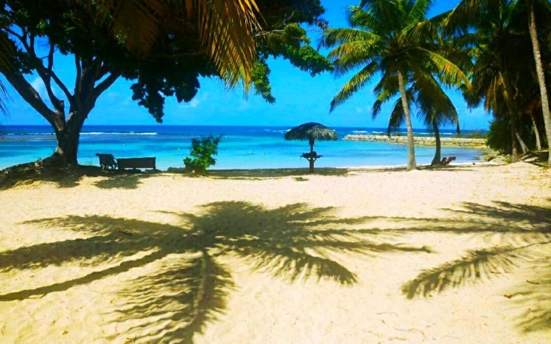Le Ti'Paradise Belle-Allée Extérieur photo