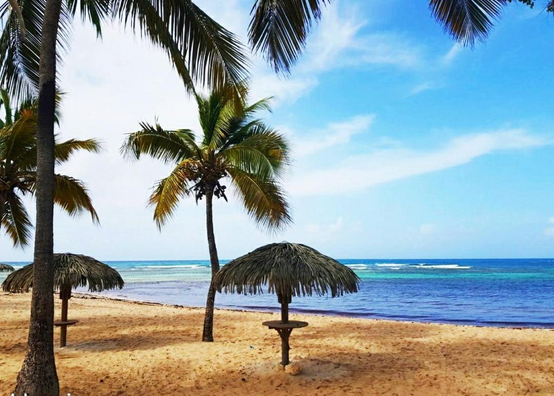 Le Ti'Paradise Belle-Allée Extérieur photo