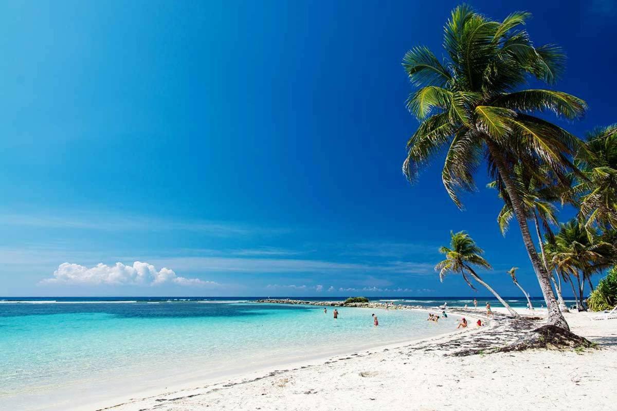 Le Ti'Paradise Belle-Allée Extérieur photo