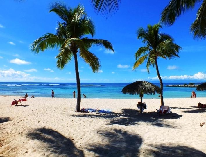 Le Ti'Paradise Belle-Allée Extérieur photo