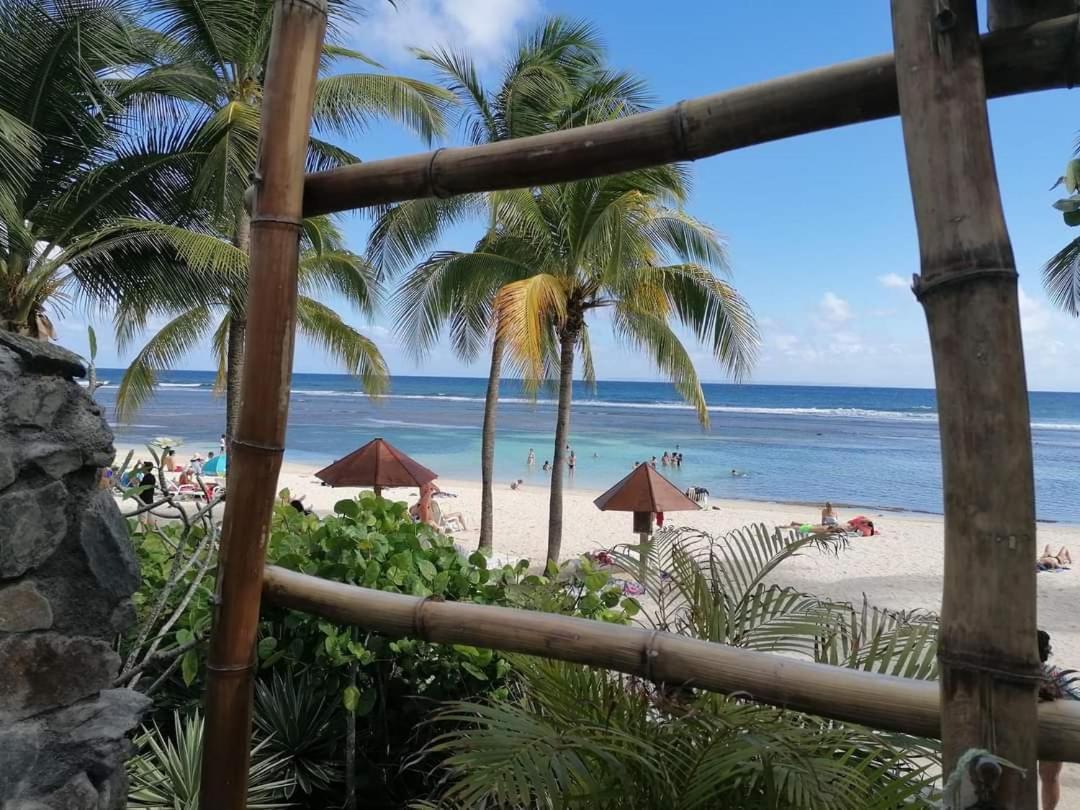 Le Ti'Paradise Belle-Allée Extérieur photo